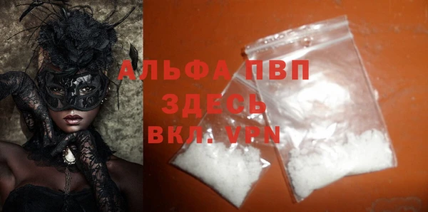 дживик Белокуриха
