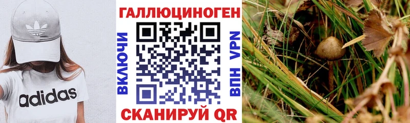 Псилоцибиновые грибы ЛСД Нерюнгри